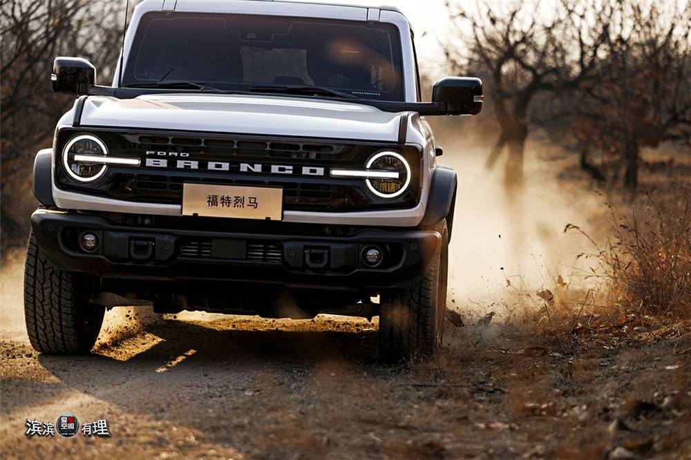 圖4：福特烈馬墨鉆車型_副本.jpg