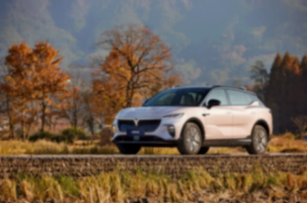 全年銷售85697輛，大漲70% 嵐圖知音助力嵐圖&ldquo;拔節(jié)&rdquo;生長html94.png