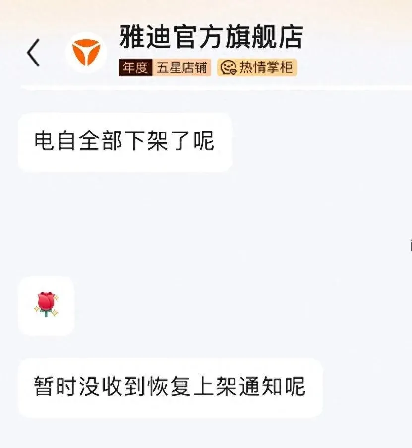 （京東雅迪官方旗艦店客服）